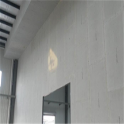 boyi新型建筑材料掺多种工业废渣的ALC|ACC|FPS模块板材轻质隔墙板